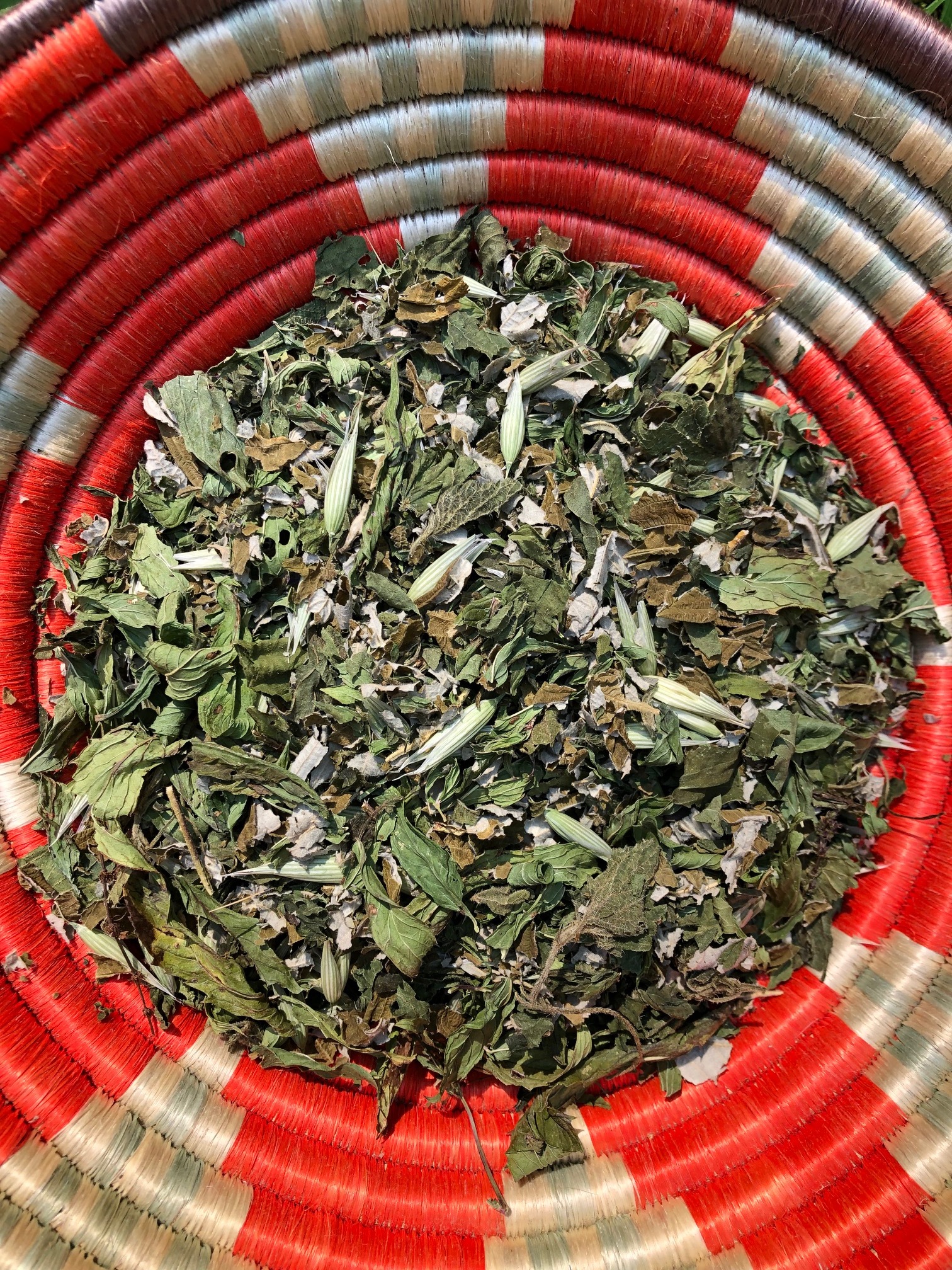 Third Trimester Pregnancy Tea 1oz Z Botanicals Apothecary Herbal